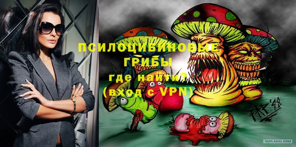 гидра Вяземский