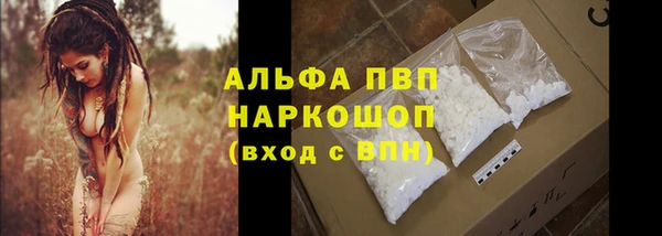 гидра Вяземский