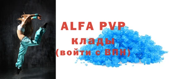 гидра Вяземский