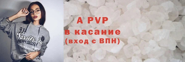 гидра Вяземский