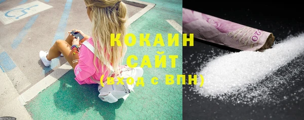 гидра Вяземский