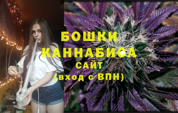гидра Вяземский