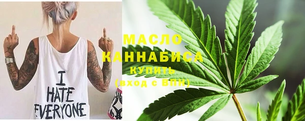 гидра Вяземский