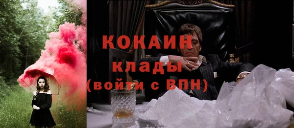 гидра Вяземский