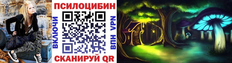 Купить где  Катав-Ивановск  Псилоцибиновые грибы GOLDEN TEACHER 