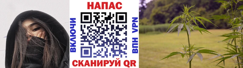Купить закладки  Катав-Ивановск  Канабис план 